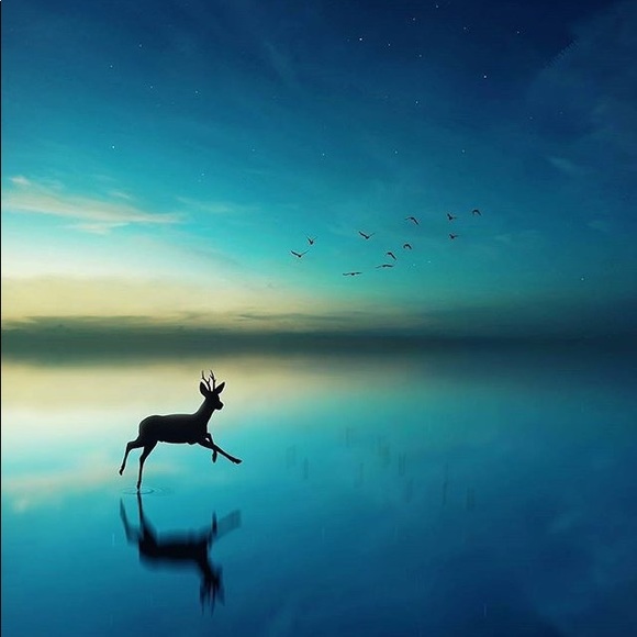 Meet your Posher - Picture 1 of 2